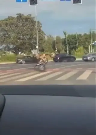 Niebezpieczna jazda ulicami Poznania 