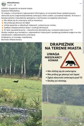 Miasto Kowary przestrzega przed "drapieżnikiem na terenie miasta"