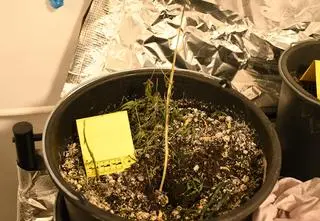 Wezwał policję i wyłączył telefon. "Z mieszkania dochodziły dziwne odgłosy"