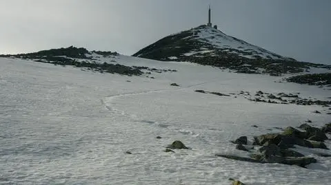 shutterstock_2698753967