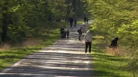 Znoszenie restrykcji nie oznacza powrotu do normy