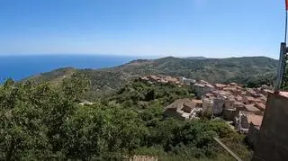 Pod domem, przy morzu, para ma też gaj oliwny