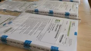 Egzamin ósmoklasisty 2025. Arkusze CKE z języka polskiego