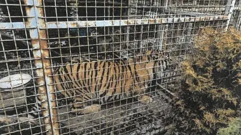 Zdjęcie z protokołu kontroli brzeskiego PIW w Czchowie