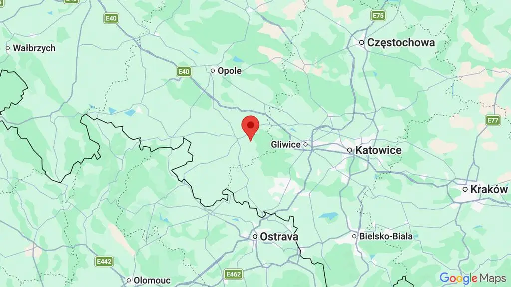 Pożar na nasypie kolejowym. Ewakuowano ponad 500 pasażerów pociągu