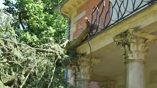Drzewo zniszczyło też balustradę
