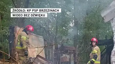 brzeziny