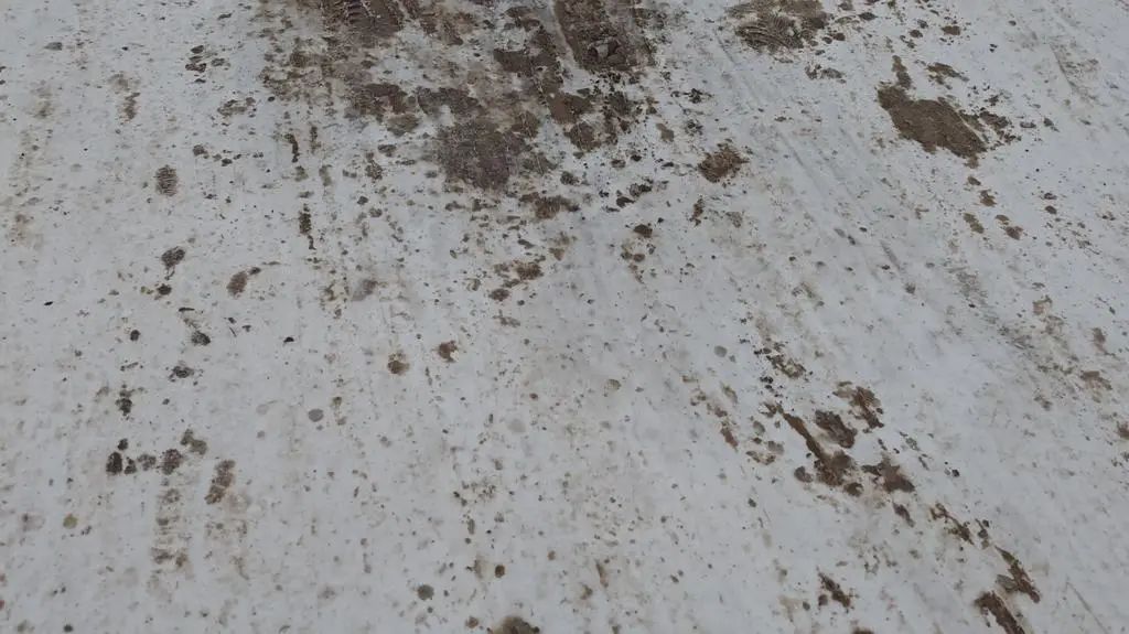 Klatka kluczowa-164510