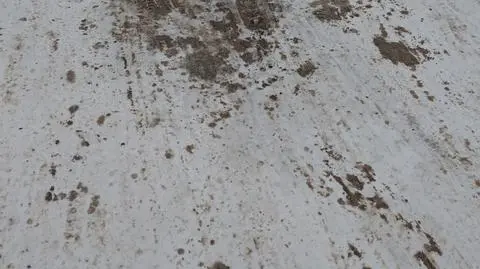 Klatka kluczowa-164510