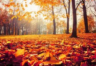 Czeka nas pogodny dzień, na termometrach do 15 stopni