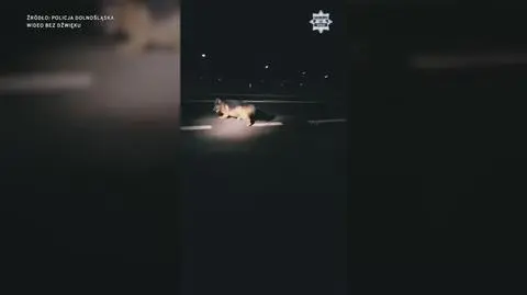 Klatka kluczowa-367652