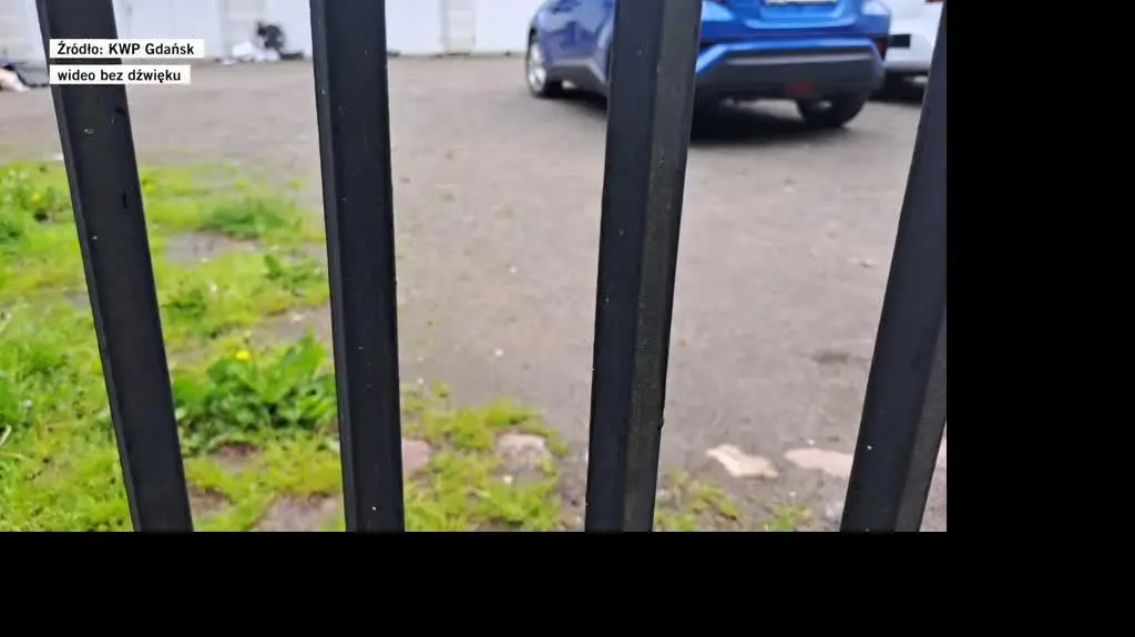 Rozbita szajka samochodowa