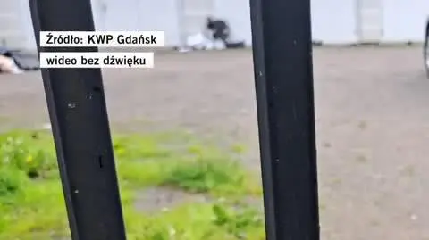 Rozbita szajka samochodowa