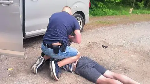 Gdańsk. 30-latek odpowie za sześć przestępstw