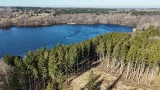 Do Lasów Państwowych należy około 400 hektarów przy jeziorze