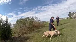 Uratowany pies bezpieczny na brzegu