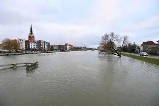 Przekroczenie stanu alarmowego na rzece Elbląg w Elblągu