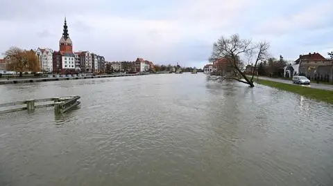 Przekroczenie stanu alarmowego na rzece Elbląg w Elblągu