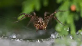 Mogą budzić w nas strach, "mają fundamentalne znaczenie"