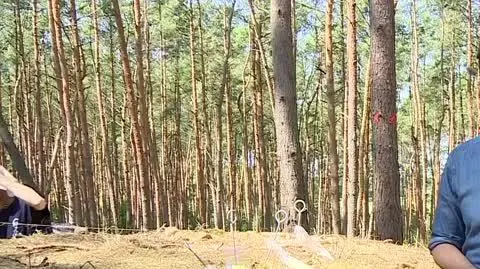 portal przybylski 2