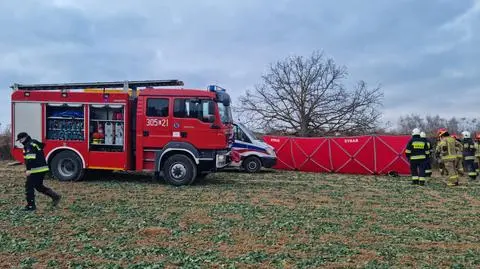 Porządkował działkę, przygniotło go drzewo. Mężczyzna nie żyje