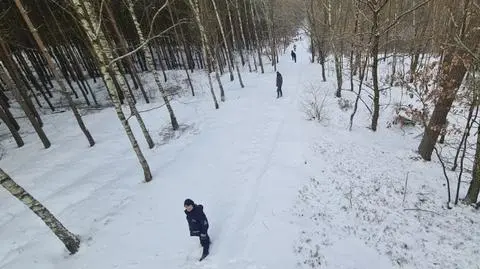 Podczas spaceru zgubił się w lesie. Przeszedł w mroźną noc ponad 20 kilometrów