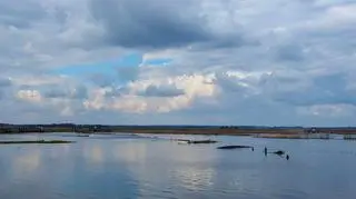 Kładka rozpięta jest nad rozlewiskami rzeki Narew