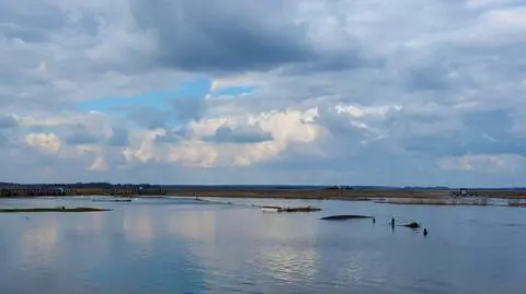 Kładka rozpięta jest nad rozlewiskami rzeki Narew