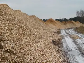 Na miejscu zostały m.in. ścinki