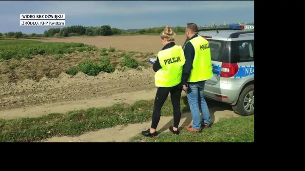 KPP Kwidzyn ziemniaki