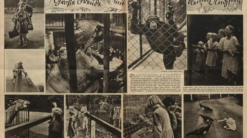 Życie we wrocławskim zoo
