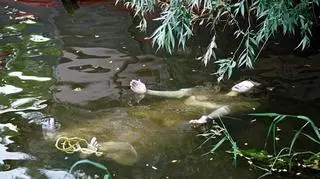 Szokujące instalacje