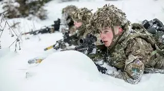 Brytyjska armia, zdjęcie poglądowe 