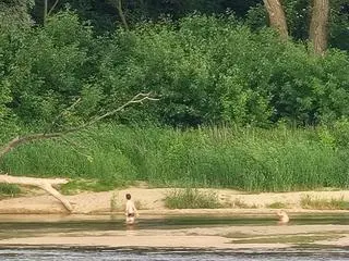 Rodzice z dziećmi wchodzą na łachy na Wiśle