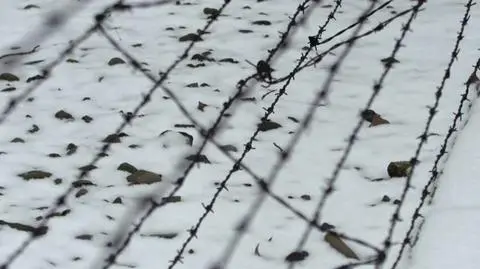 piotr cywiński dyrektor muzeum auschwitz