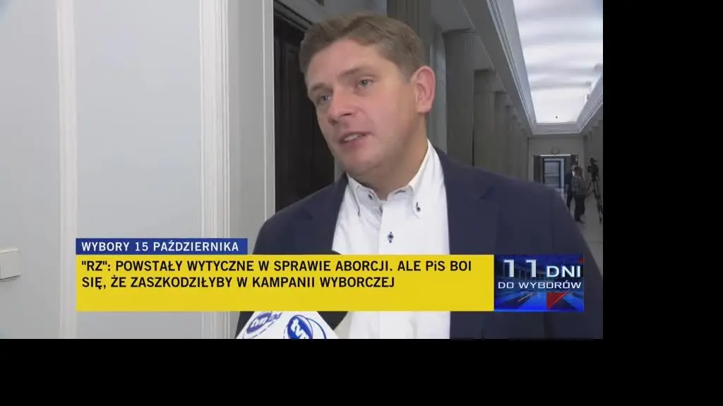 adamek 1