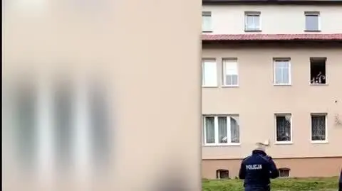 policjanci