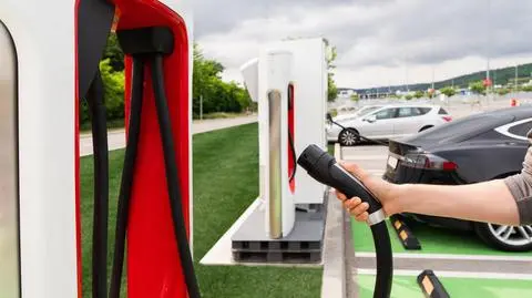 Tesla i Ford łączą siły. Rzadko spotykana współpraca rywali