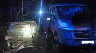 Wywieźli drewno z lasu, zostali zatrzymani