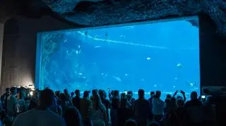 Łódzkie Orientarium 