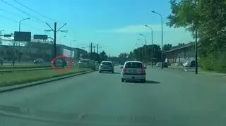 Do zdarzenia doszło na al. Włókniarzy w Łodzi 