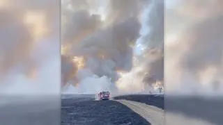 Pola spalone w wyniku rosyjskich ataków. Doradca Zełenskiego pokazał nagranie 