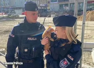 Policjanci pierwsi przyjechali na miejsce, potrzebna była też pomoc strażaków