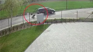 Rowerzysta został potrącony. Kierowca odjechał