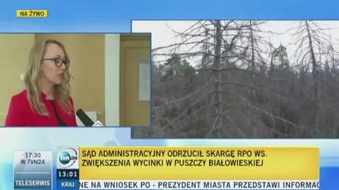 Większe cięcia w Puszczy Białowieskiej. Sąd odrzucił skargę Rzecznika Praw Obywatelskich