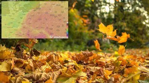 Temperatura pójdzie mocno w górę. Jak długo potrwa ocieplenie