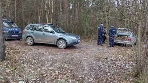 Wjechał do lasu i kradł gałęzie. Przyłapali go na gorącym uczynku