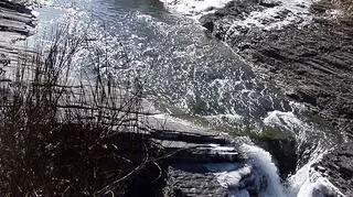 Łupki wierzowskie nad Wieprzówką