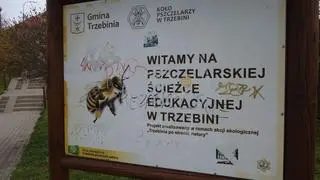Trzebinia. Seria wandalizmów podczas świąt wielkanocnych