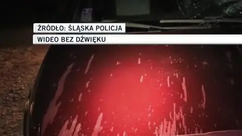 śląska policja